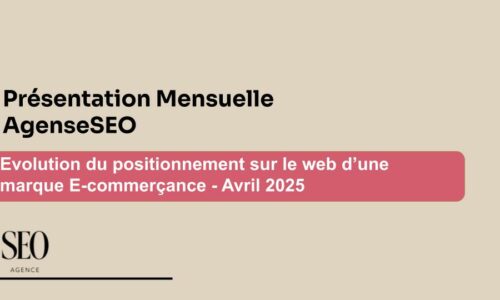 Google Ads | Analyse des résultats marque E-commerçant implanté dans le domaine des cosmétiques
